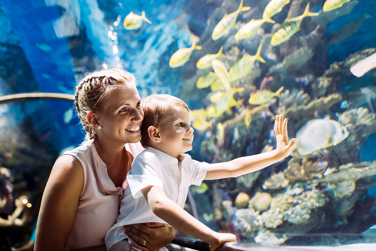 Mother and son watching sea life in oceanarium