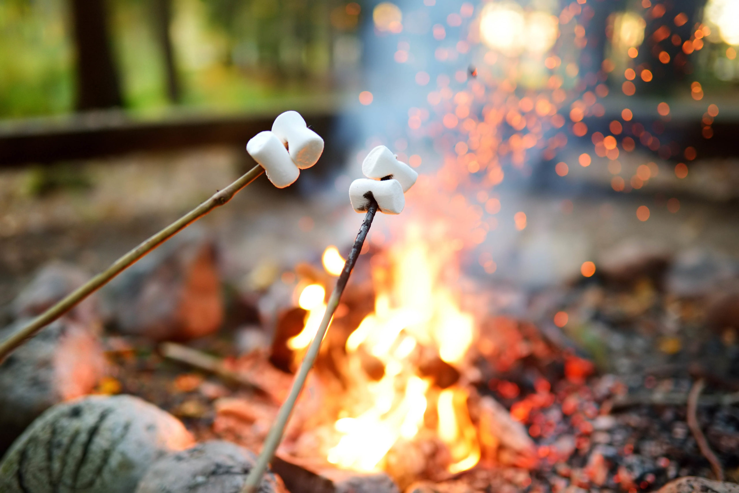 15 Frugal Things To Do This Summer