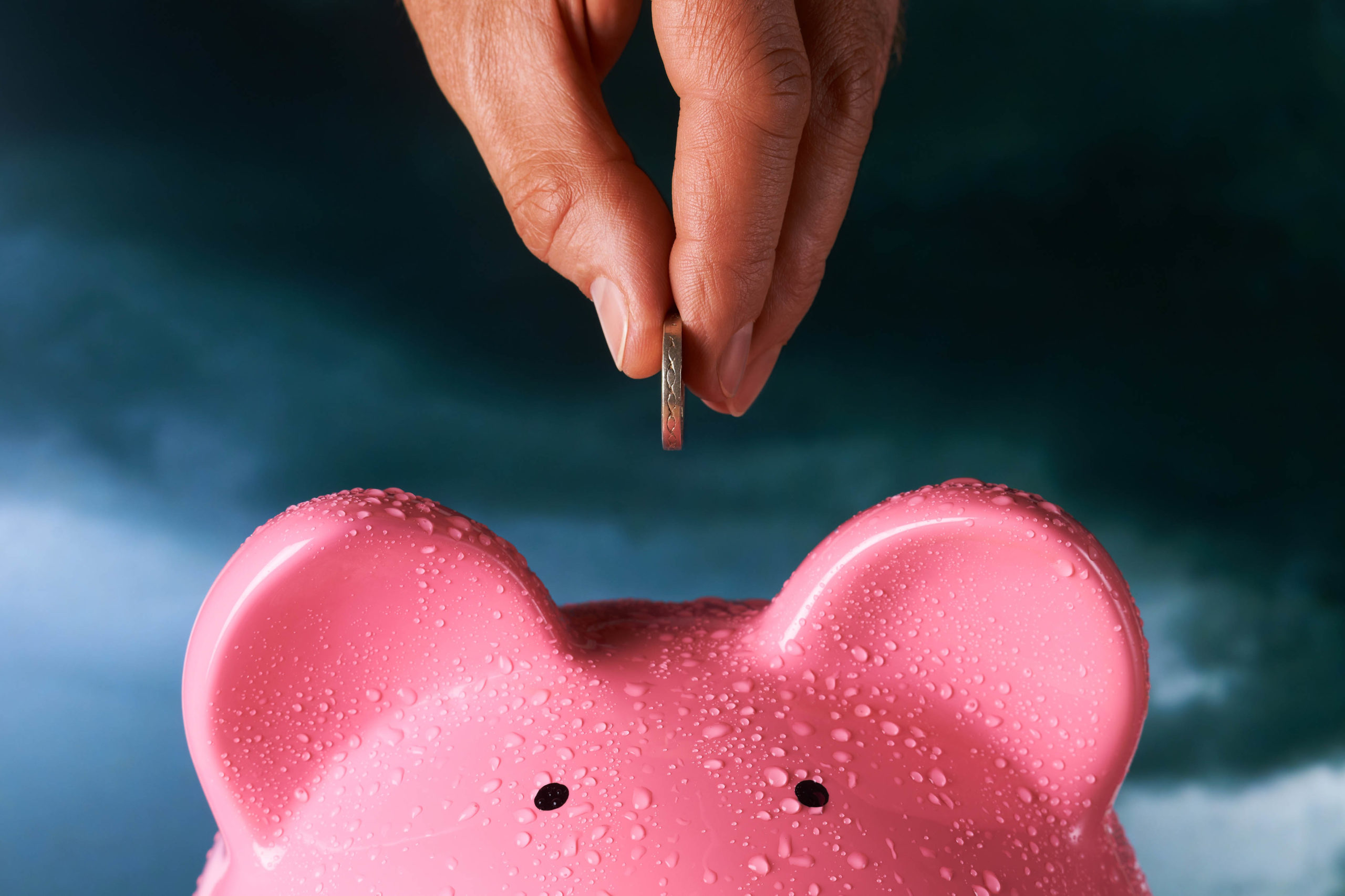 placing coin into piggy bank