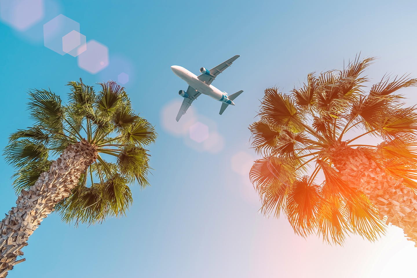 Passenger airplane flying above the palm trees against the blue sky.